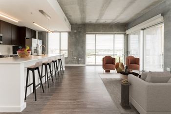 Kitchen and Living Area at South Falls Tower, Richmond, Virginia